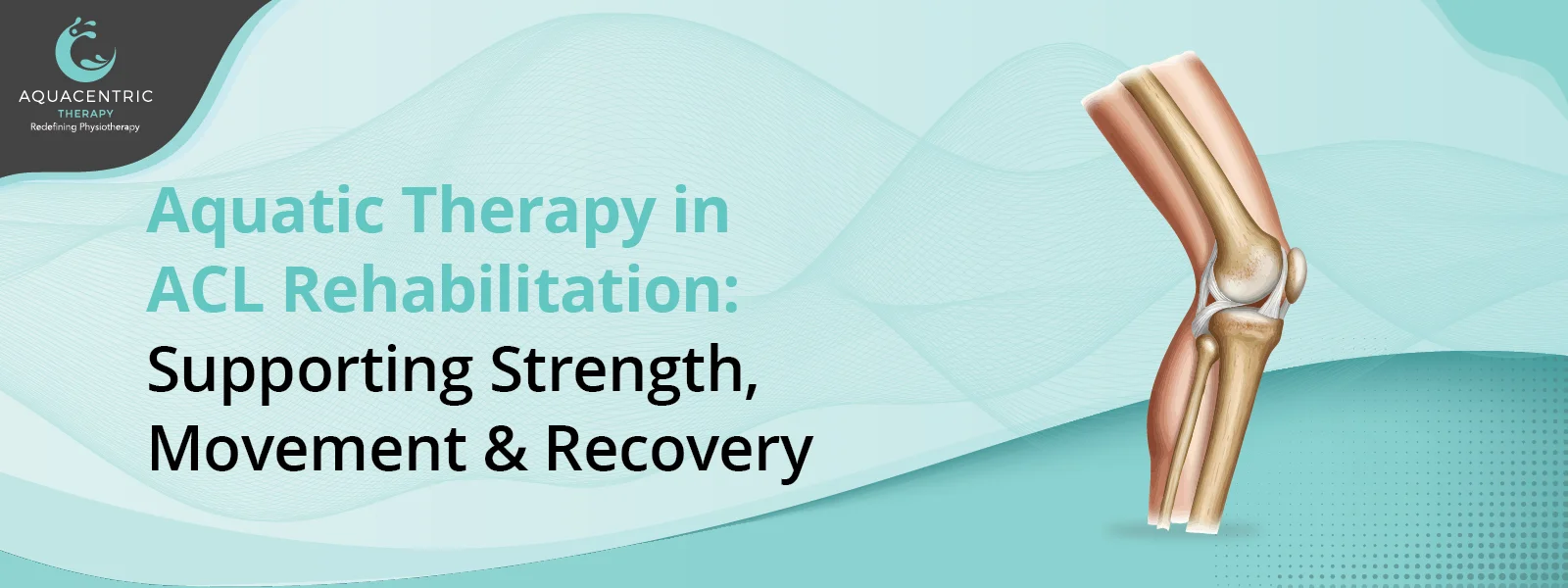 Aquatic Therapy in ACL Rehabilitation: Supporting Strength, Movement & Recovery 1 Aquatic Therapy in ACL Rehabilitation Supporting Strength, Movement & Recovery