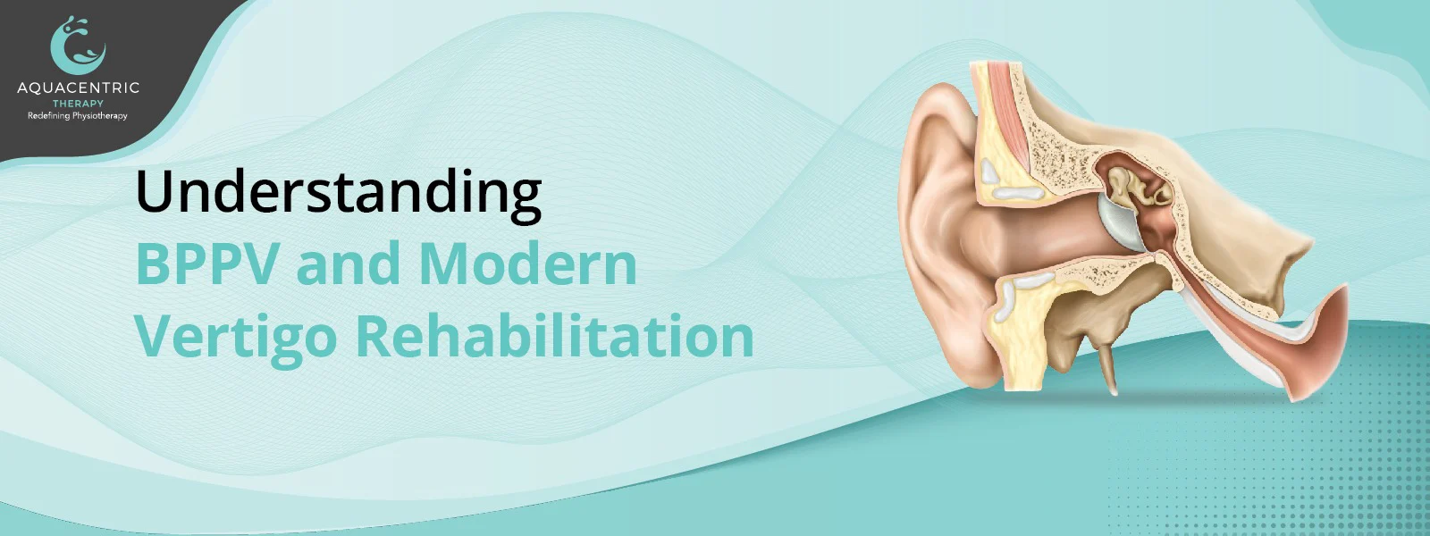 Understanding BPPV and Modern Vertigo Rehabilitation 1 Understanding BPPV and Modern Vertigo Rehabilitation